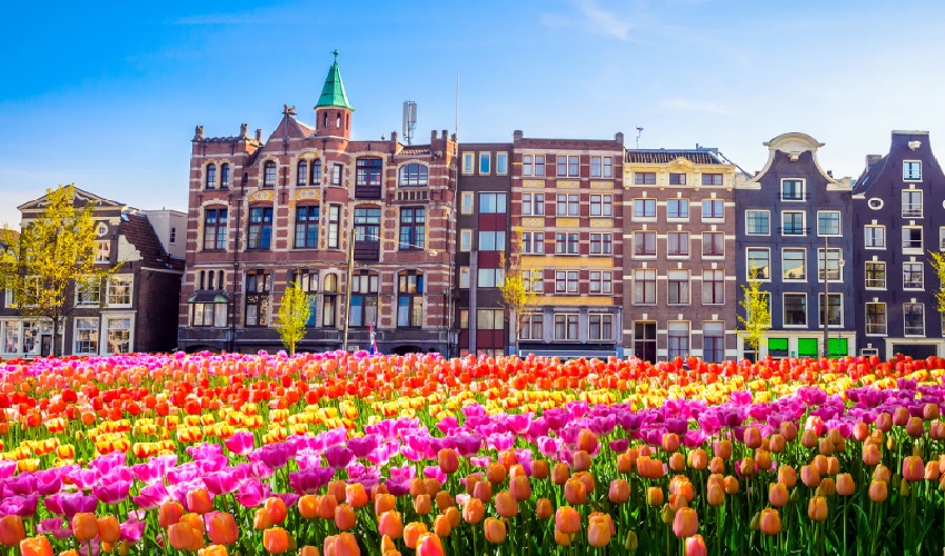  CIRCULO IMPERIAL (AMSTERDAM - VIENA) 